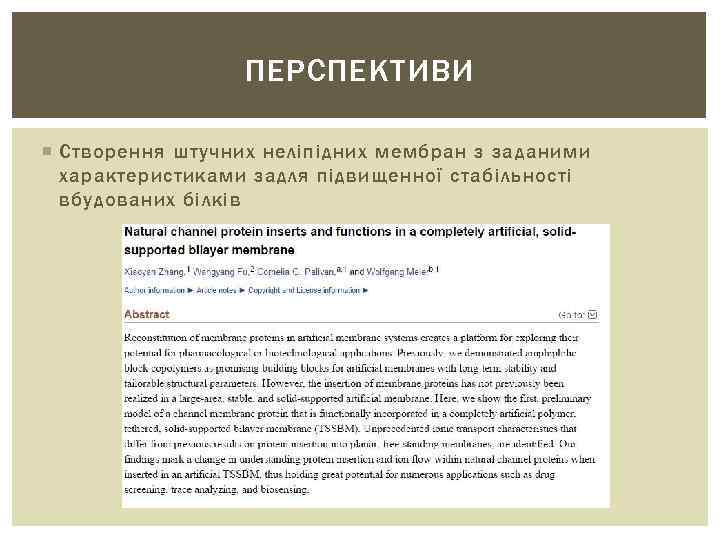 ПЕРСПЕКТИВИ Створення штучних неліпідних мембран з заданими характеристиками задля підвищенної стабільності вбудованих білків 