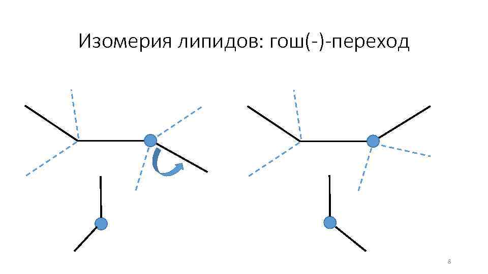 Изомерия липидов: гош(-)-переход 8 