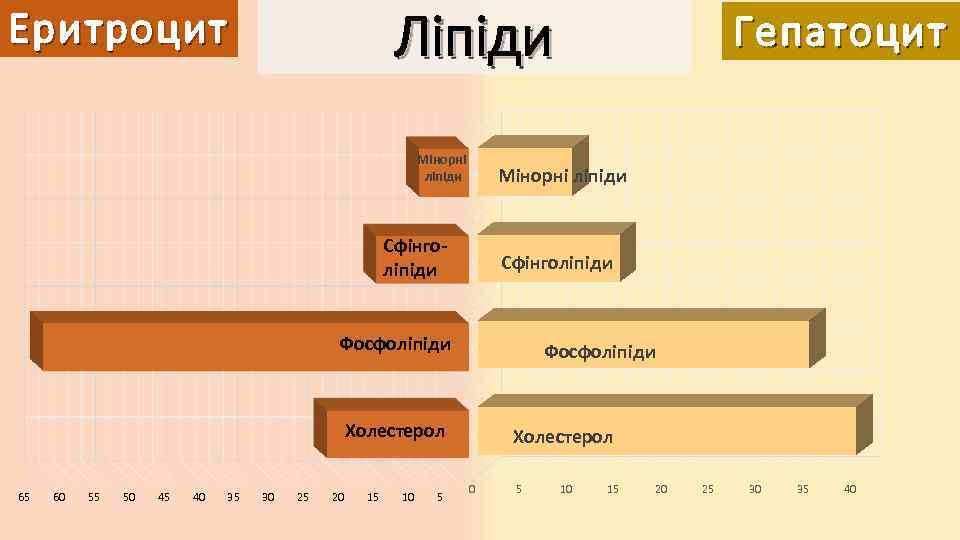 Ліпіди Еритроцит Мінорні ліпіди Сфінголіпіди Фосфоліпіди Холестерол 65 60 55 50 45 40 35