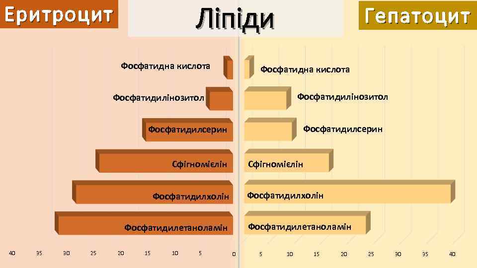 Ліпіди Еритроцит Фосфатидна кислота Гепатоцит Фосфатидна кислота Фосфатидилінозитол Фосфатидилсерин Сфігномієлін Фосфатидилхолін Фосфатидилетаноламін 40 35
