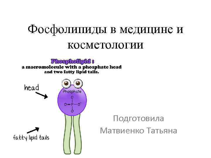 Фосфолипиды в медицине и косметологии Подготовила Матвиенко Татьяна 
