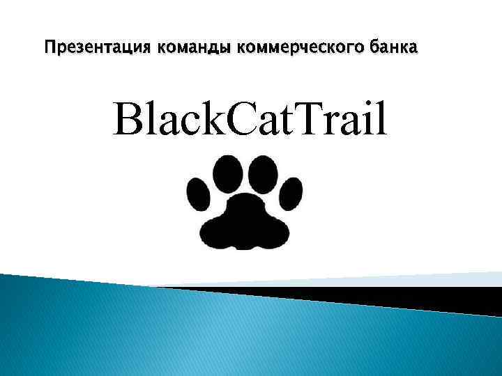 Презентация команды коммерческого банка Black. Cat. Trail 