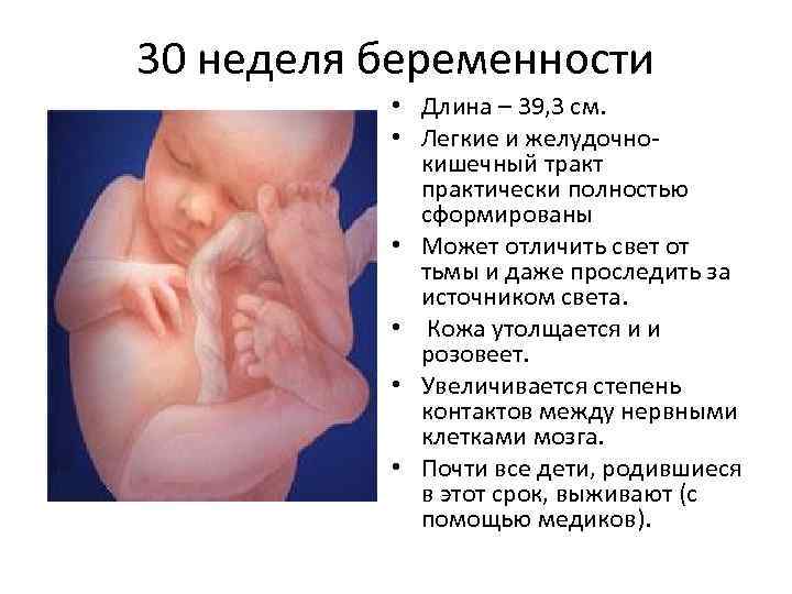32 недели беременности какой. Ребёнок в 30 недель беременности. Плод на 30 неделе беременности. Ребёнок на 32 неделе беременности.