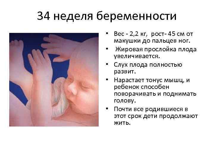 34 неделя беременности • Вес - 2, 2 кг, рост- 45 см от макушки