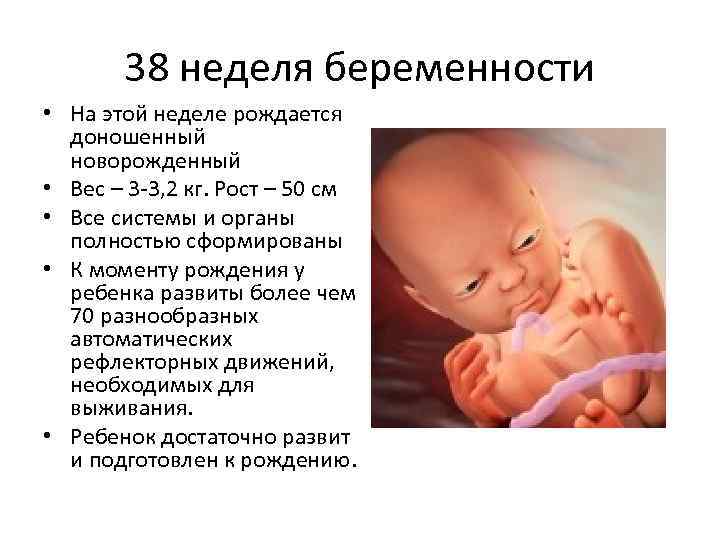 37.5 неделю у ребенка. Доношенным считается плод. Вес ребёнка на 38 неделе беременности. 37 38 Недель беременности вес ребенка.
