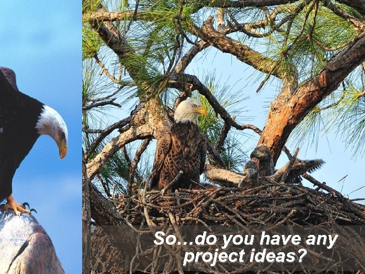 So…do you have any project ideas? 