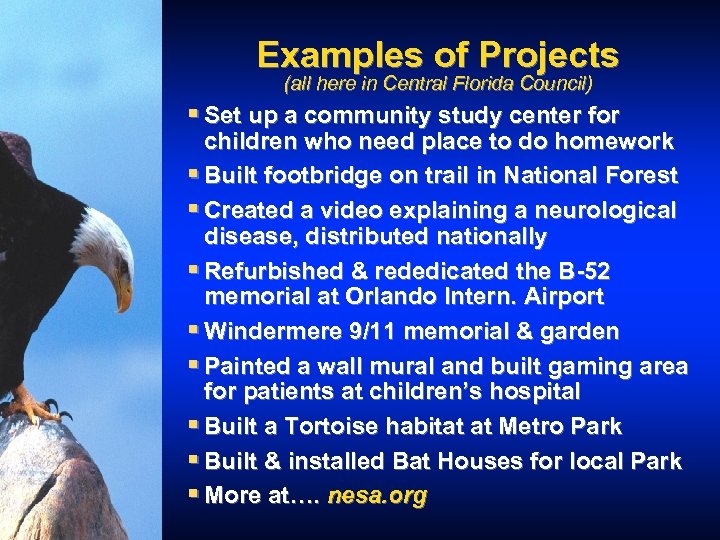 Examples of Projects (all here in Central Florida Council) § Set up a community