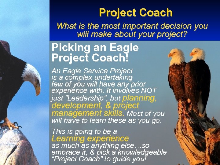 Project Coach What is the most important decision you will make about your project?