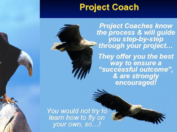 Project Coaches know the process & will guide you step-by-step through your project… They