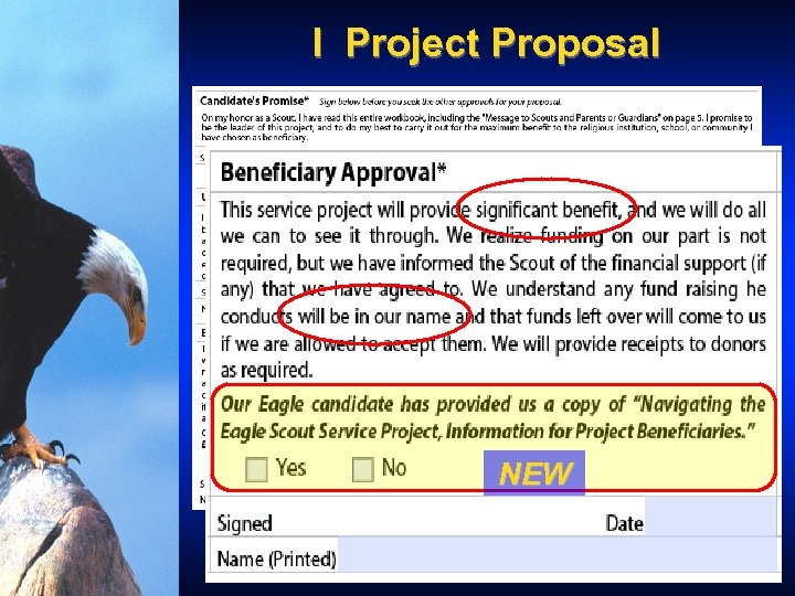 I Project Proposal NEW 