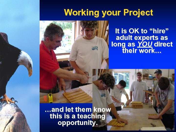 Working your Project It is OK to “hire” adult experts as long as YOU