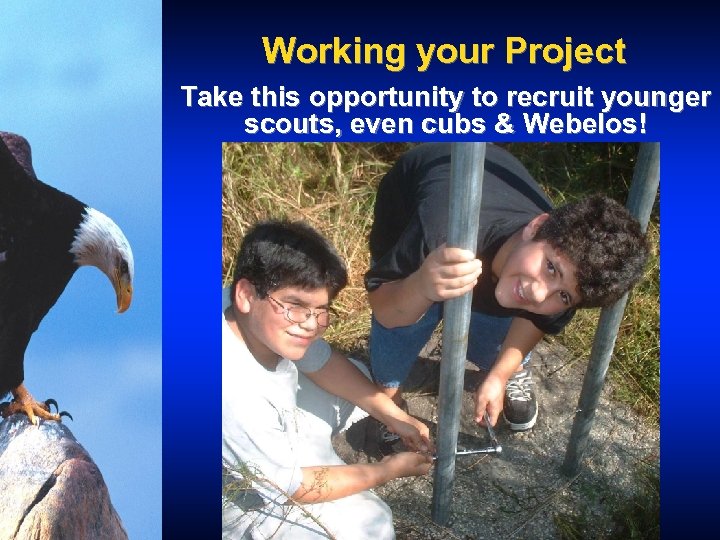 Working your Project Take this opportunity to recruit younger scouts, even cubs & Webelos!