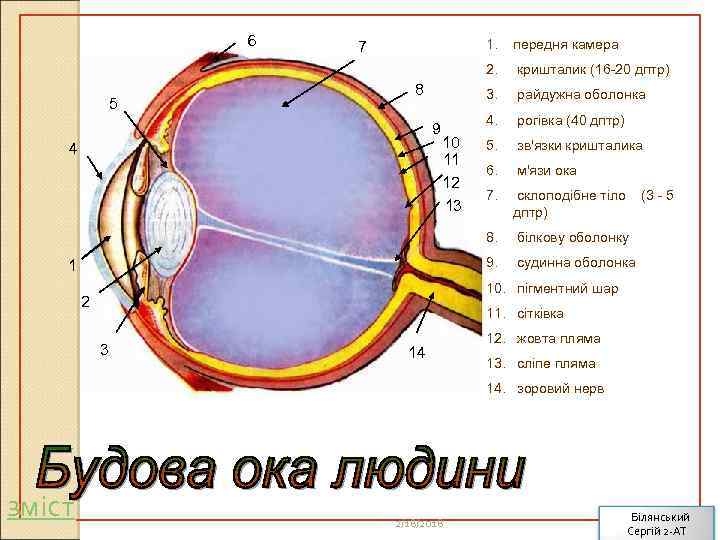6 4. 10 11 12 13 1 рогівка (40 дптр) 5. зв'язки кришталика 6.