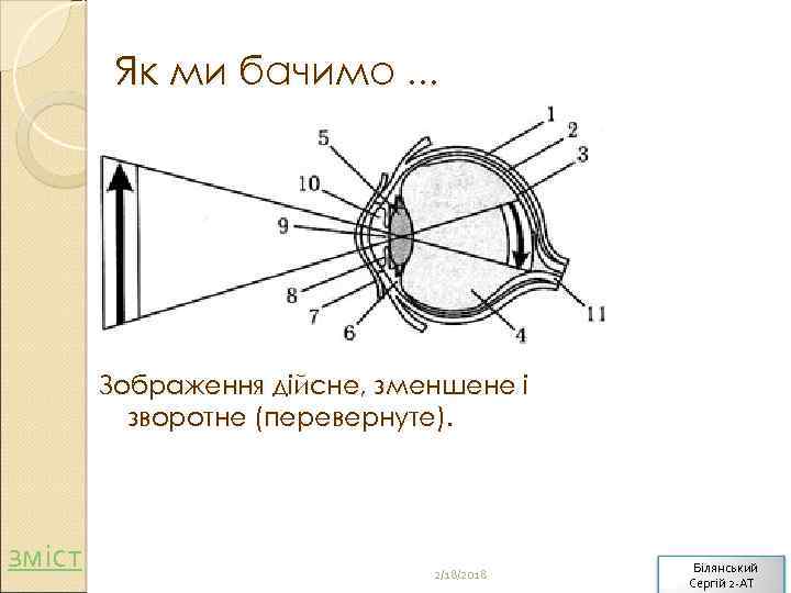 Як ми бачимо. . . Зображення дійсне, зменшене і зворотне (перевернуте). зміст 2/18/2018 Білянський