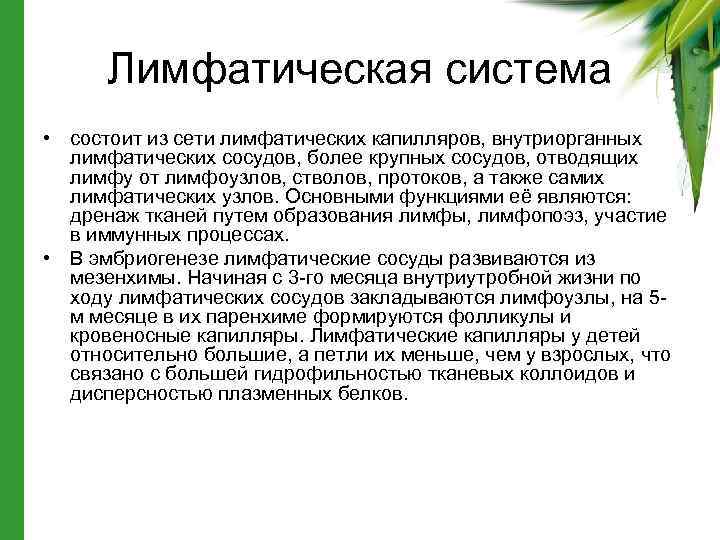Лимфатическая система • состоит из сети лимфатических капилляров, внутриорганных лимфатических сосудов, более крупных сосудов,