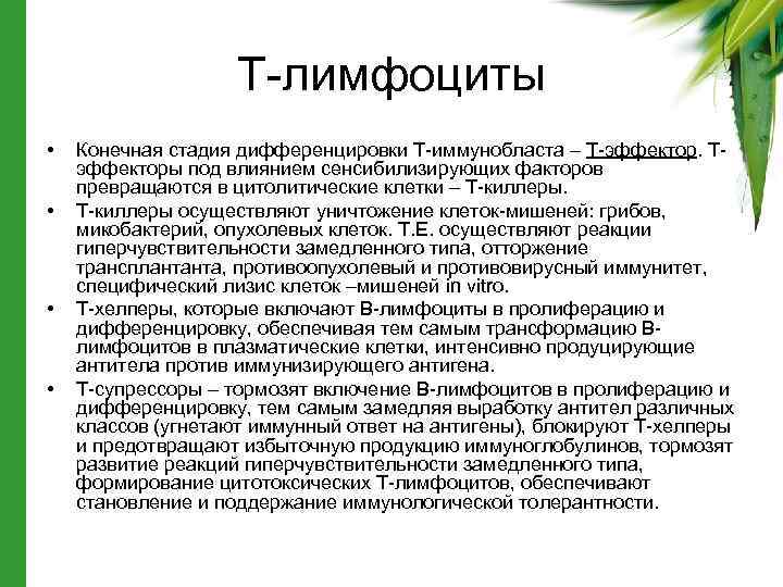 Т-лимфоциты • • Конечная стадия дифференцировки Т-иммунобласта – Т-эффектор. Тэффекторы под влиянием сенсибилизирующих факторов