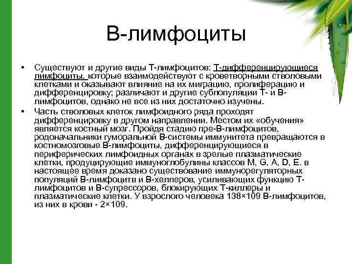 В-лимфоциты • • Существуют и другие виды Т-лимфоцитов: Т-дифференцирующиеся лимфоциты, которые взаимодействуют с кроветворными