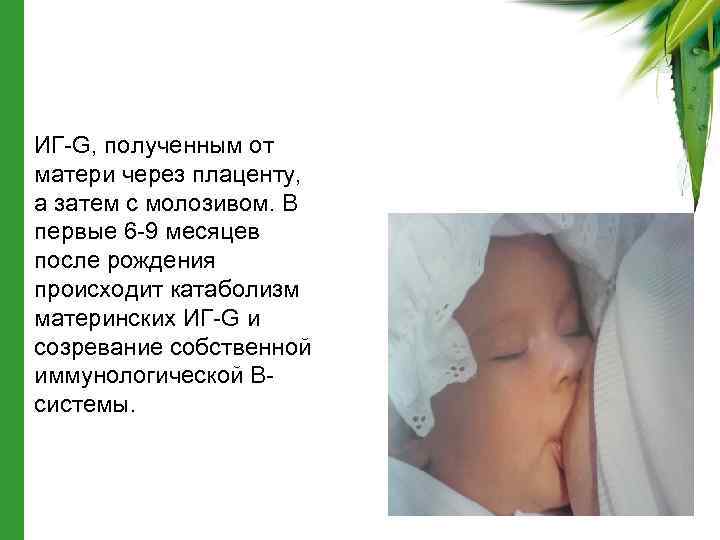  • ИГ-G, полученным от матери через плаценту, а затем с молозивом. В первые