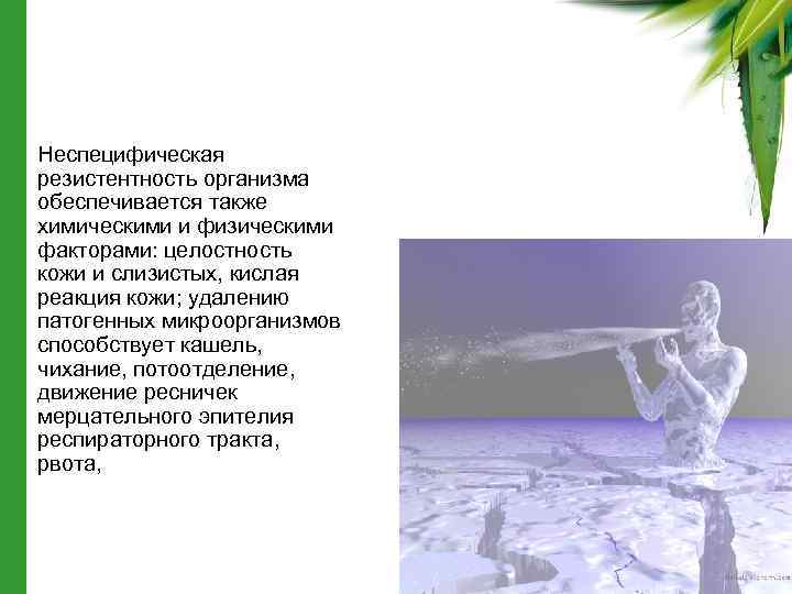  • Неспецифическая резистентность организма обеспечивается также химическими и физическими факторами: целостность кожи и