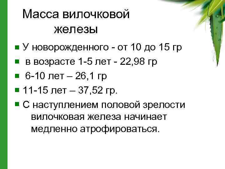 Масса железы. Нормы объема вилочковой железы. Размеры тимуса у детей до года. Размеры вилочковой железы по возрасту таблица. Норма вилочковой железы у новорожденных.