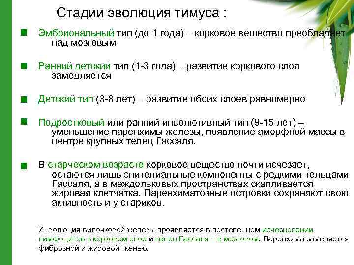 Стадии эволюция тимуса : Эмбриональный тип (до 1 года) – корковое вещество преобладает над