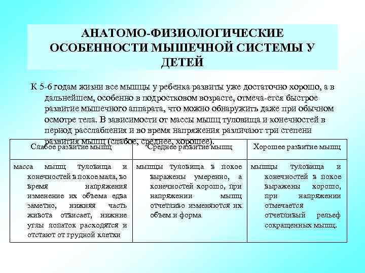 АНАТОМО ФИЗИОЛОГИЧЕСКИЕ ОСОБЕННОСТИ МЫШЕЧНОЙ СИСТЕМЫ У ДЕТЕЙ К 5 6 годам жизни все мышцы