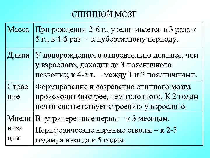 СПИННОЙ МОЗГ Масса При рождении 2 6 г. , увеличивается в 3 раза к