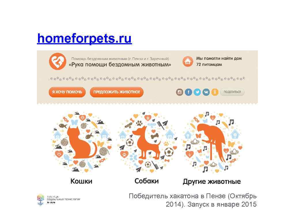 homeforpets. ru Победитель хакатона в Пензе (Октябрь 2014). Запуск в январе 2015 