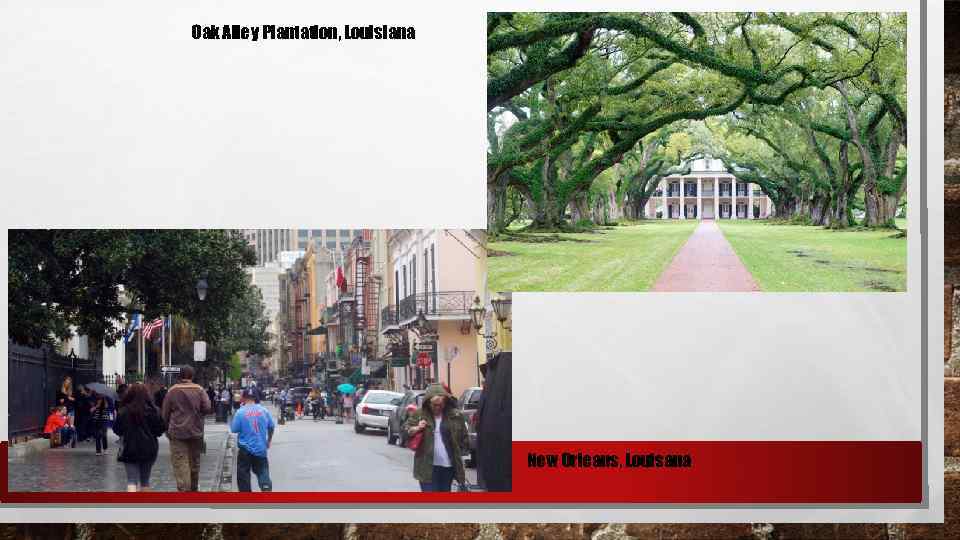 Oak Alley Plantation, Louisiana New Orleans, Louisana 