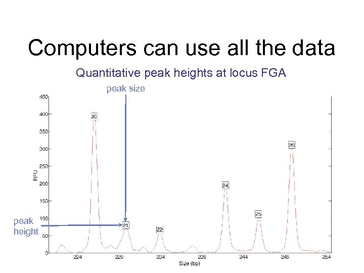 Computers can use all the data Quantitative peak heights at locus FGA peak size