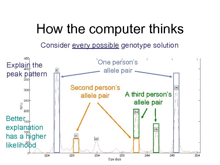 How the computer thinks Consider every possible genotype solution Explain the peak pattern One