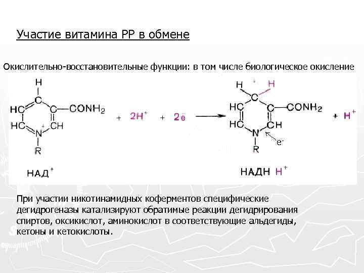 Водорастворимые витамины биохимия