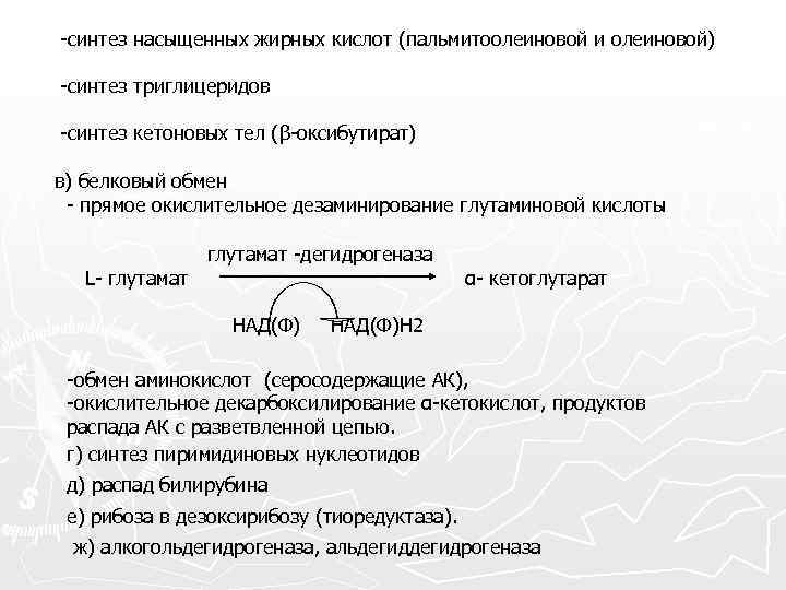 -синтез насыщенных жирных кислот (пальмитоолеиновой и олеиновой) -синтез триглицеридов -синтез кетоновых тел (β-оксибутират) в)