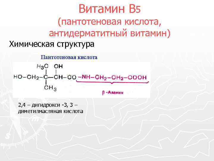 Витамин В 5 (пантотеновая кислота, антидерматитный витамин) Химическая структура Пантотеновая кислота 2, 4 –