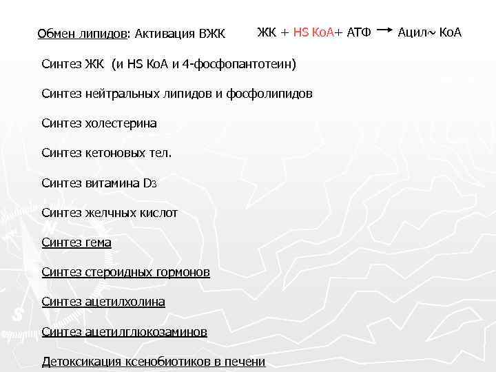 Обмен липидов: Активация ВЖК ЖК + HS Ко. А+ АТФ Синтез ЖК (и HS