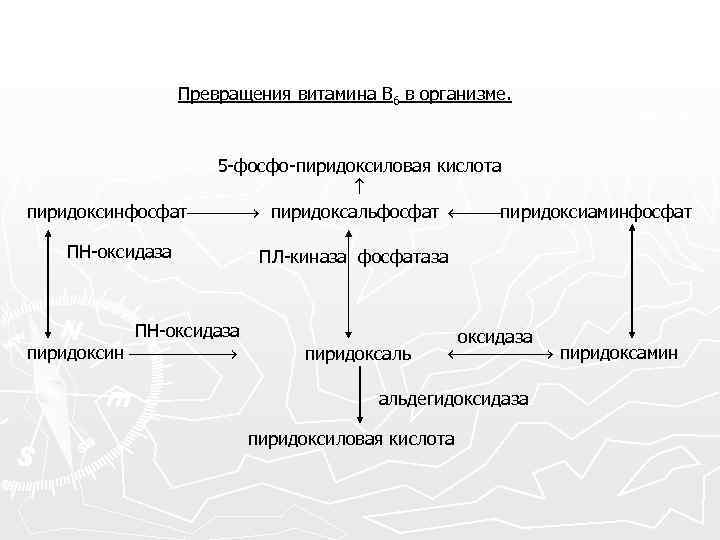 Превращения витамина В 6 в организме. 5 -фосфо-пиридоксиловая кислота пиридоксинфосфат пиридоксальфосфат пиридоксиаминфосфат ПН-оксидаза пиридоксин