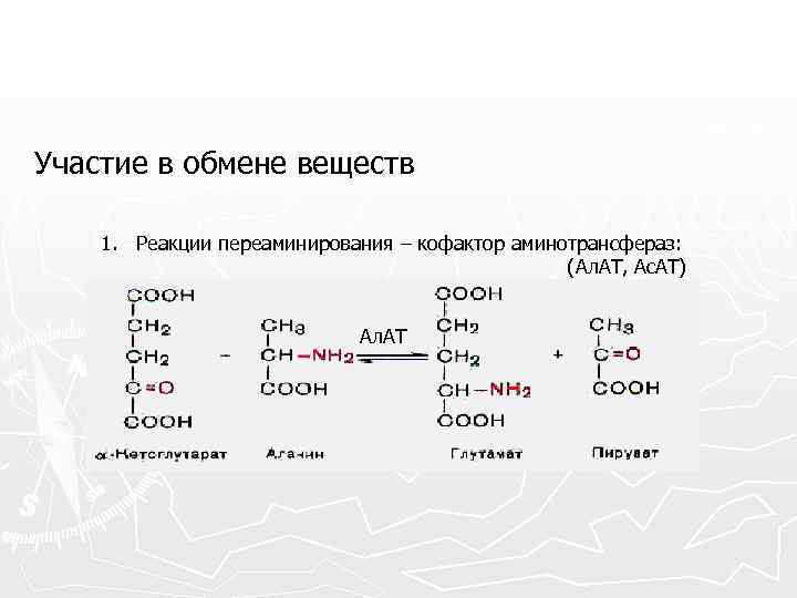 Участие в обмене веществ 1. Реакции переаминирования – кофактор аминотрансфераз: (Ал. АТ, Ас. АТ)