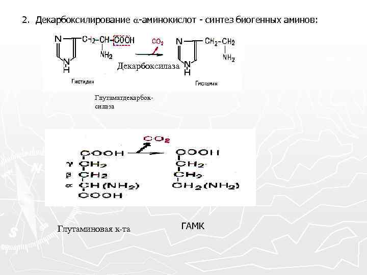 Декарбоксилирование аминокислот презентация