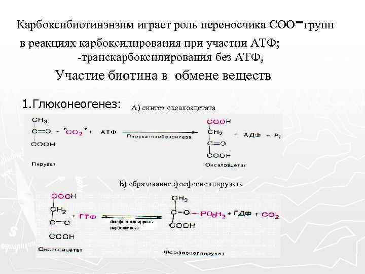 - Карбоксибиотинэнзим играет роль переносчика СОО групп в реакциях карбоксилирования при участии АТФ; -транскарбоксилирования