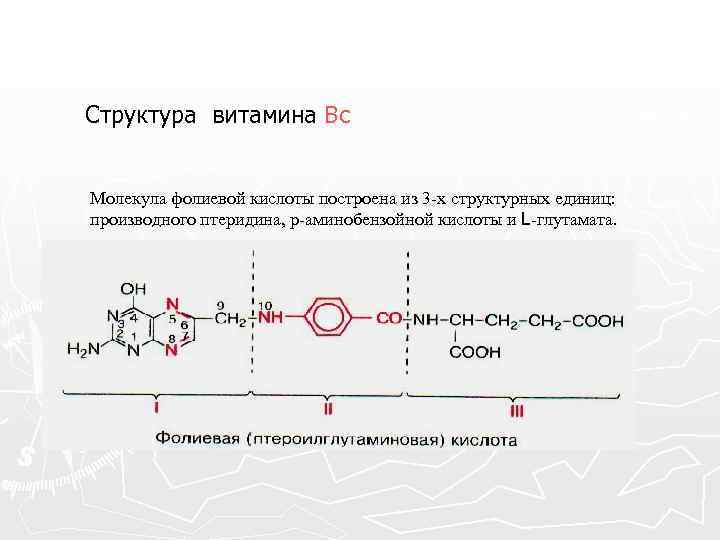 Структура витамина Вс Молекула фолиевой кислоты построена из 3 -х структурных единиц: производного птеридина,