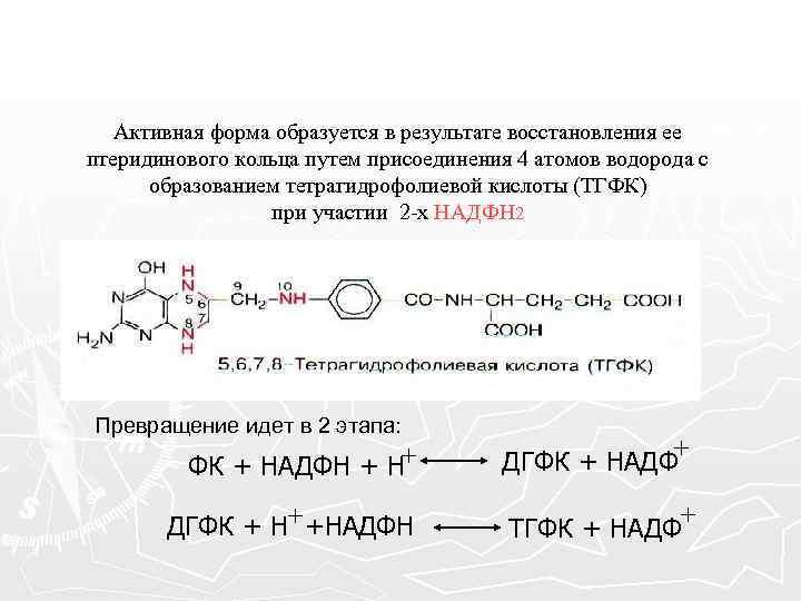 Активная форма образуется в результате восстановления ее птеридинового кольца путем присоединения 4 атомов водорода