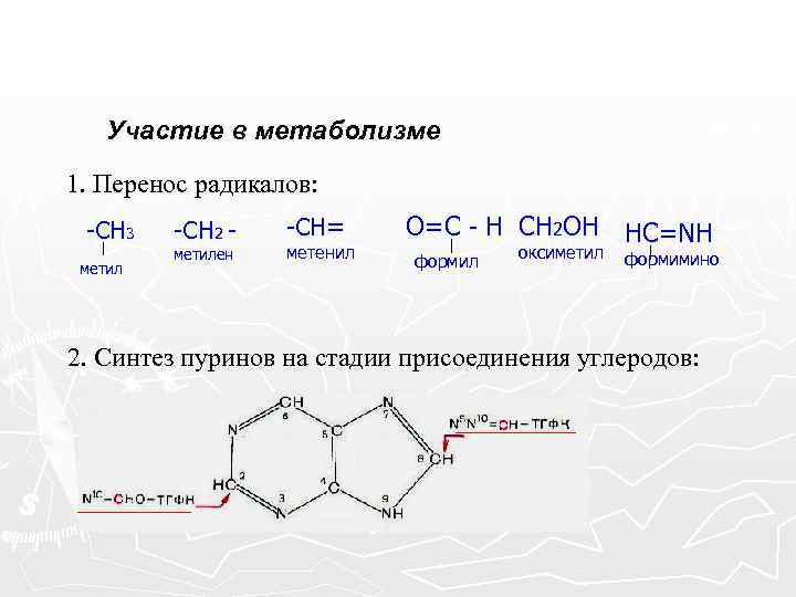 Участие в обмене веществ. Метилен радикал. Метилен радикал формула. Метенил ТГФК формула. Оксиметил радикал формула.