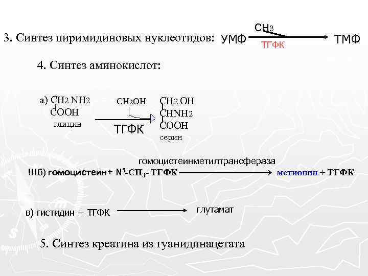 3. Синтез пиримидиновых нуклеотидов: УМФ СН 3 ТГФК ТМФ 4. Синтез аминокислот: а) СН