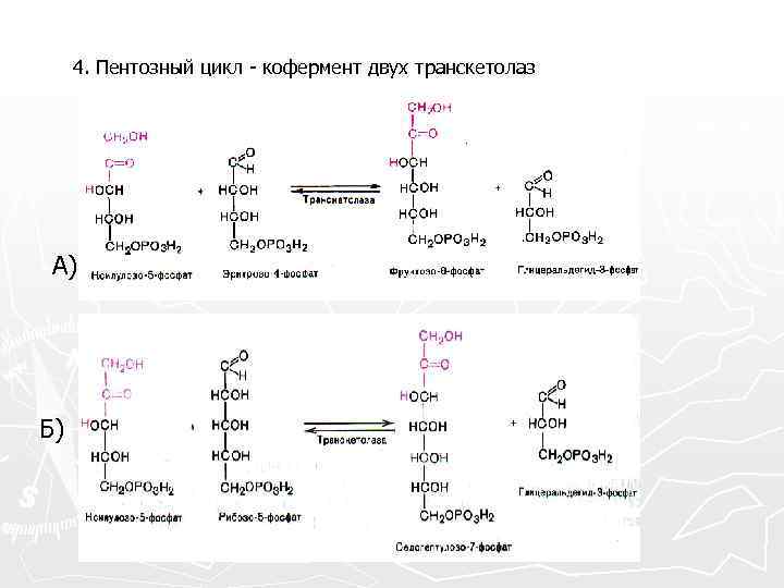 4. Пентозный цикл - кофермент двух транскетолаз А) Б) 