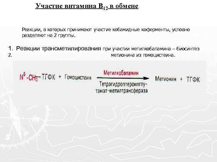 Участие витамина В 12 в обмене Реакции, в которых принимают участие кобамидные коферменты, условно