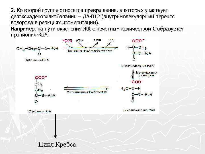 2. Ко второй группе относятся превращения, в которых участвует дезоксиаденозилкобаламин – ДА-В 12 (внутримолекулярный