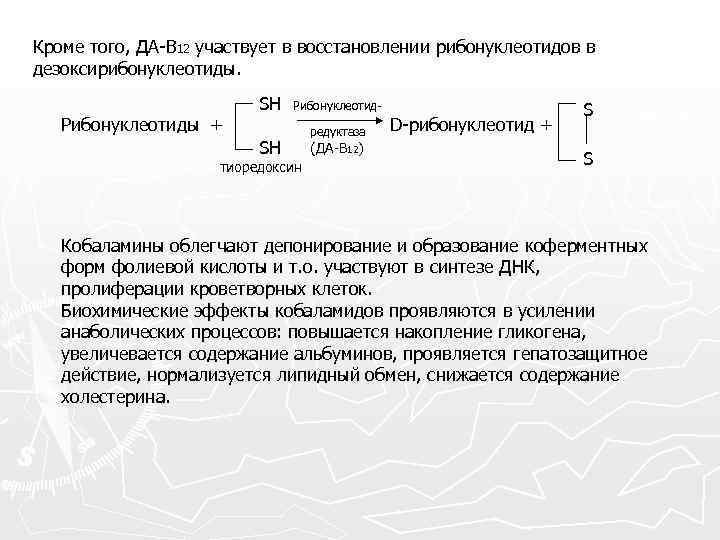 Кроме того, ДА-В 12 участвует в восстановлении рибонуклеотидов в дезоксирибонуклеотиды. Рибонуклеотиды + SH Рибонуклеотид-