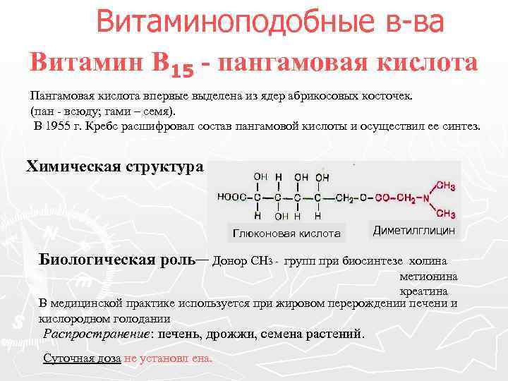 Витаминоподобные в-ва Витамин В 15 - пангамовая кислота Пангамовая кислота впервые выделена из ядер