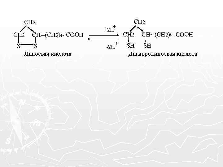 СН 2 S СН (СН 2)4 - СООН S Липоевая кислота + +2 H