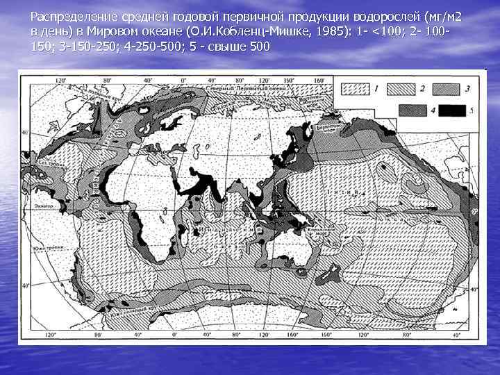 Распределение средней годовой первичной продукции водорослей (мг/м 2 в день) в Мировом океане (О.